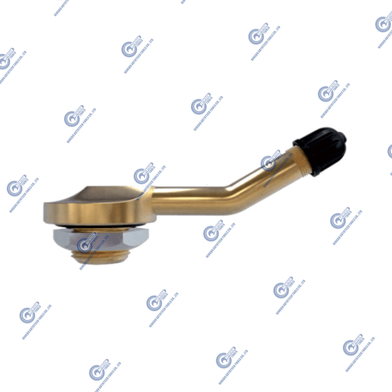 European style tire clamp-in valves