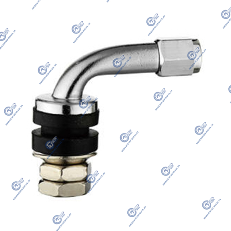 Automobile clamp-in valves