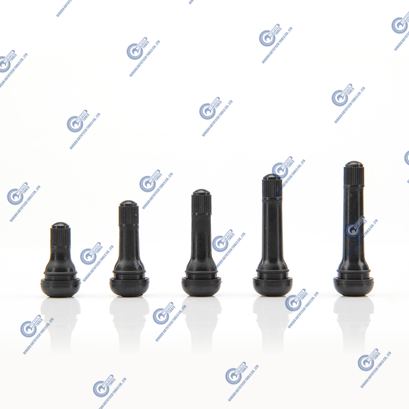 Tubeless Snap-in Valves