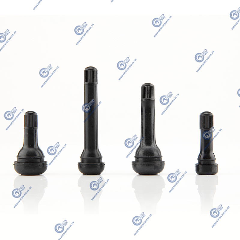 Tubeless Snap-in Valves