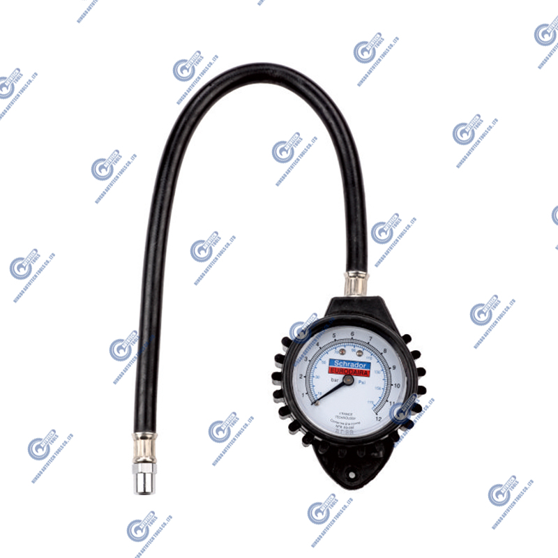 AG-01 Tire Pressure Gauge