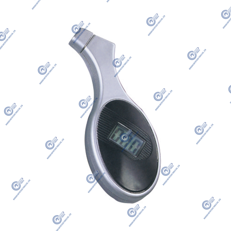 DTG-04 Digital Tire Gauge (5-100 psi)